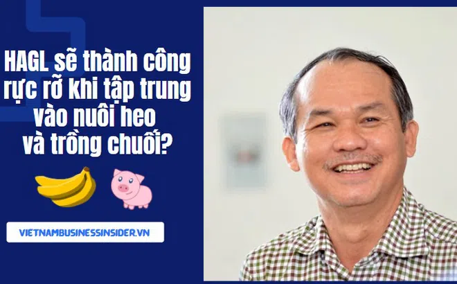 Vì sao Bầu Đức tự tin HAGL sẽ thành công rực rỡ khi tập trung vào nuôi heo và trồng chuối với mục tiêu doanh thu 4.800 tỷ đồng?