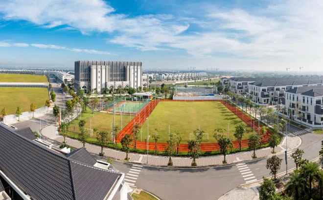 Novaland công bố thông tin Báo cáo tài chính Kiểm toán, lợi nhuận năm 2022 đạt 2.182 tỷ đồng