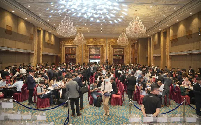 Vinhomes – Nhà phát triển BĐS dẫn dắt thị trường với những chính sách "không tưởng"