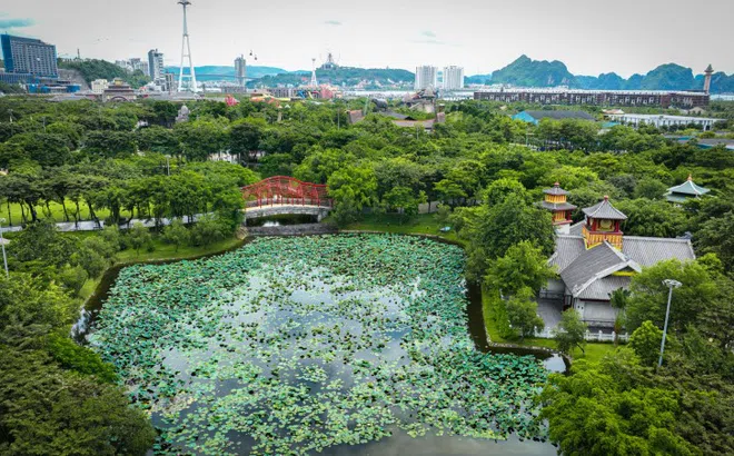 Bật mí điểm check-in với sen cực hot khi đến Sun World Ha Long