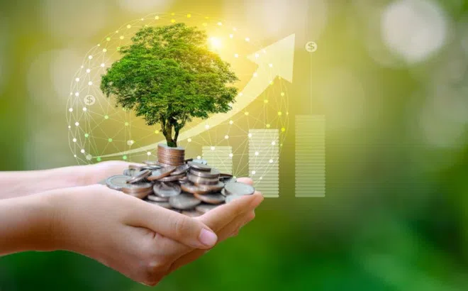 Có 5 cấp độ giàu có, gia đình bạn đang số mấy?