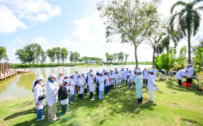 Vinamilk biến rào cản thành vòng tuần hoàn xanh tại trang trại sinh thái