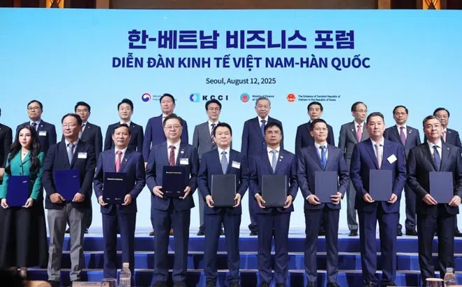 KN Holdings hợp tác Samsung C&T phát triển 864 MW điện mặt trời nổi