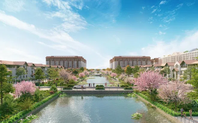 Đại lộ hoa tại Flora Avenue: Biểu tượng sống xanh giữa nhịp đô thị hiện đại