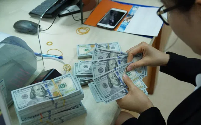 VnDirect: Việt Nam Đồng có thể mất giá khoảng 6-8% so với USD trong năm 2022