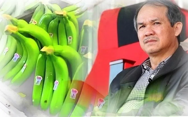 Trung Quốc chính thức nhập khẩu chuối tươi từ Việt Nam, công ty của Bầu Đức được hưởng lợi?
