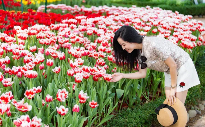 Du xuân đón Tết đậm màu sắc Phương Đông tại Vinpearl khắp 3 miền