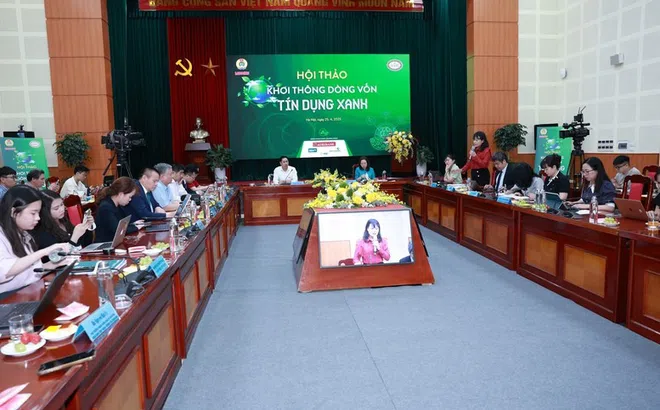 Tín dụng xanh: Tiềm năng từ các chính sách quốc gia