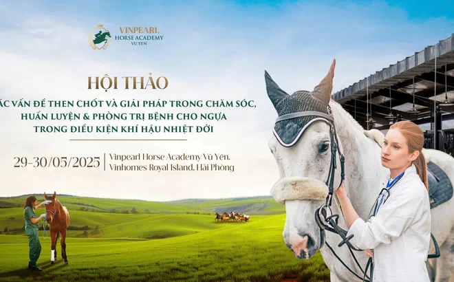 Học viện Cưỡi Ngựa Vinpearl Vũ Yên tổ chức Hội thảo chuyên sâu hàng đầu về ngựa