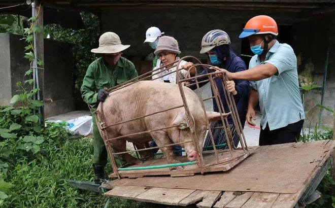 Khắc ghi ân tình người Sài Gòn những mùa bão lũ, người Quảng Trị đang làm tất cả vì TPHCM thân yêu