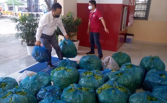 3 doanh nghiệp phối hợp hỗ trợ người dân TPHCM 25 tấn rau củ quả