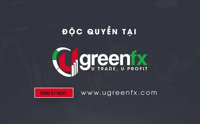 Đầu tư 50 triệu đồng thu về 1 tỷ đồng, chiêu trò đưa nhà đầu tư vào thòng lọng