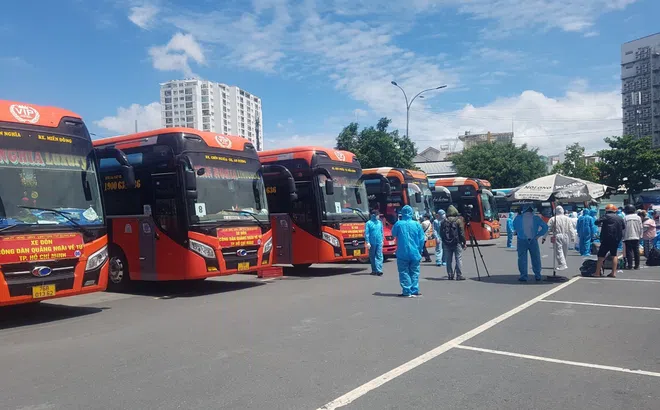 200 người dân Quảng Ngãi tại TPHCM được đưa về quê tránh dịch bằng ô tô