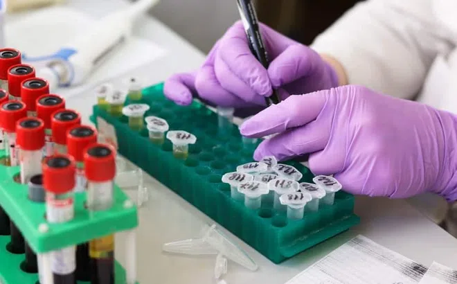 Mỹ phát hiện ra “siêu kháng thể” có thể chống lại tất cả các biến thể Covid-19