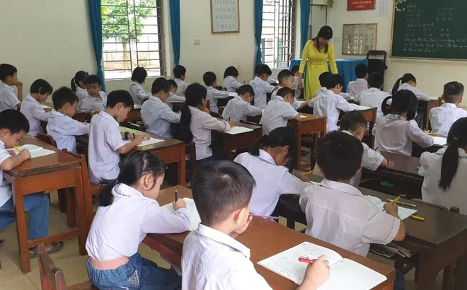 TP.HCM hỗ trợ 100% học phí kỳ 1 cho học sinh công lập và ngoài công lập