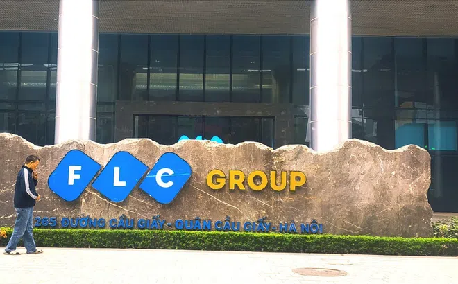 Cổ phiếu 'họ FLC' đồng loạt tăng trần, dư mua hàng trăm tỷ đồng