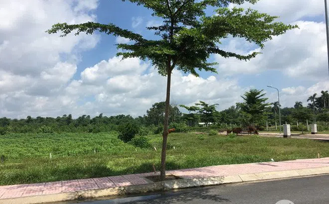 Phân khúc bất động sản nào đáng đầu tư sau dịch?