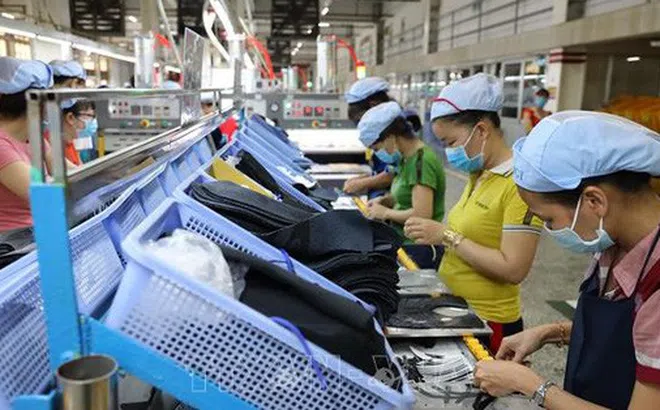 TP.HCM: 85,71% doanh nghiệp được khảo sát trả lời bị ảnh hưởng bởi dịch COVID-19