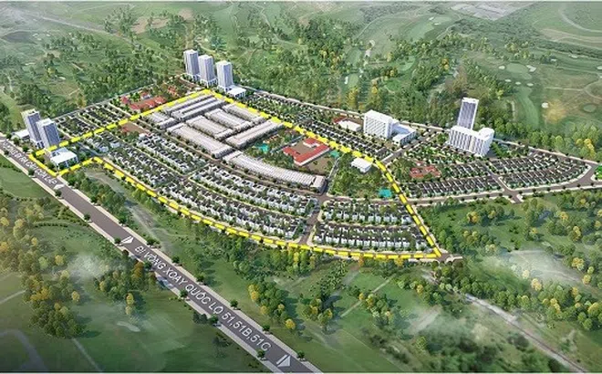 Công ty Phát triển Nhà Bà Rịa - Vũng Tàu bị phạt và truy thu gần 3 tỷ đồng