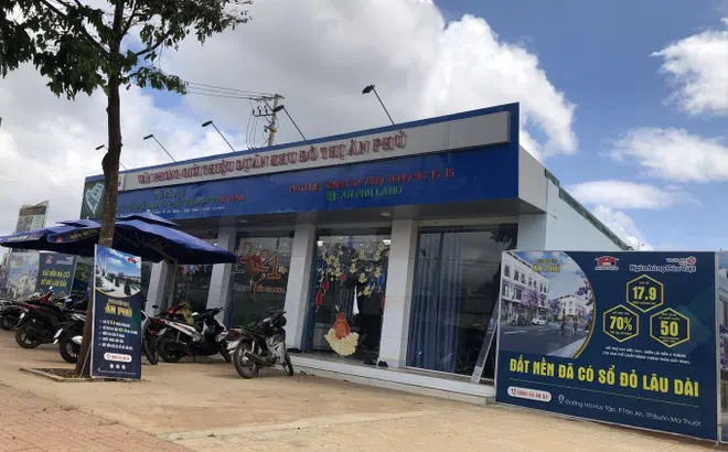 Doanh nghiệp nào là "quán quân" nợ thuế tại tỉnh Quảng Nam ?