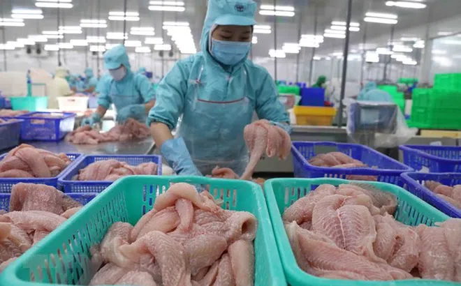 Xử lý các tranh chấp pháp lý về hợp đồng phát sinh trong đại dịch