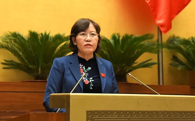Quản lý nhà nước về hoạt động đấu thầu, chỉ định thầu còn nhiều bất cập