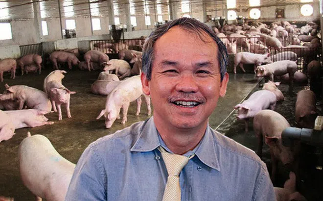 Hoàng Anh Gia Lai của Bầu Đức sẽ 'huy hoàng' trở lại nhờ trồng chuối và nuôi heo?