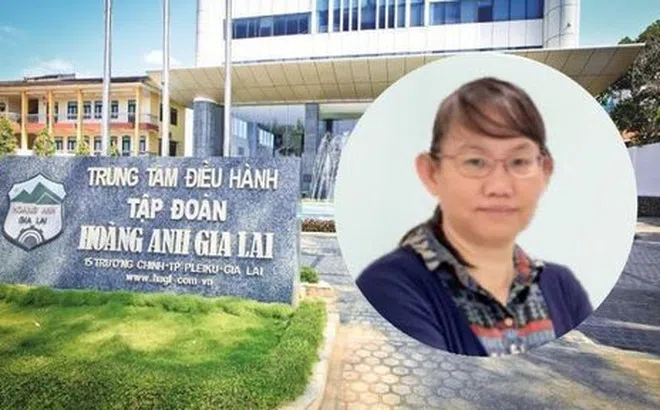 Một thành viên HĐQT của Hoàng Anh Gia Lai từ nhiệm trước thềm đại hội cổ đông
