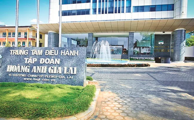 NovaGroup chính thức lên tiếng về thông tin liên quan đến đợt chào bán cổ phiếu riêng lẻ của Hoàng Anh Gia Lai