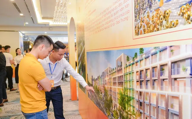 Đắm say và thăng hoa tại triển lãm giới thiệu Hệ sinh thái Sun Group