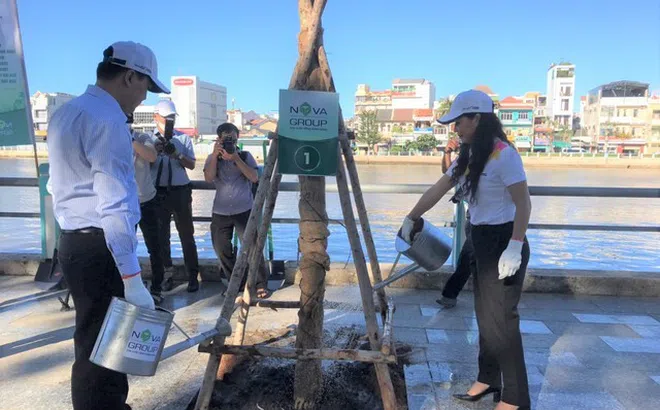 NovaGroup hưởng ứng chương trình 1 tỷ cây xanh