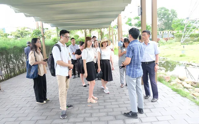 Xây dựng năng lực Kinh tế tuần hoàn cho doanh nghiệp: Khóa đào tạo thiết thực, nhiều ý nghĩa