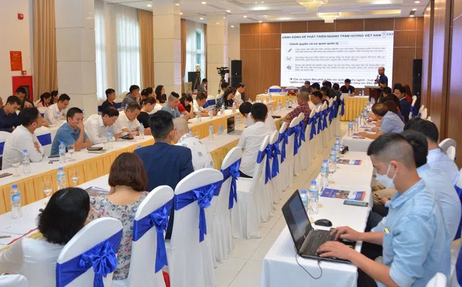 Tìm giải pháp phát triển sản xuất trầm hương tại Việt Nam