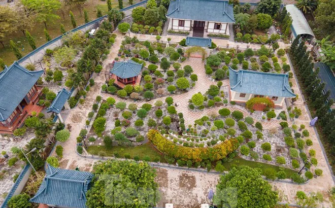 Cựu bí thư 'hạ cánh', đất đâu mà nhiều thế?