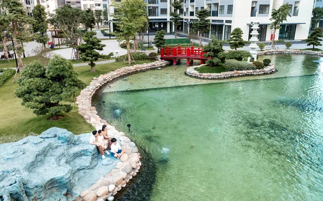 Lựa chọn “tam an” của phụ huynh khi mua nhà TP.HCM cho con