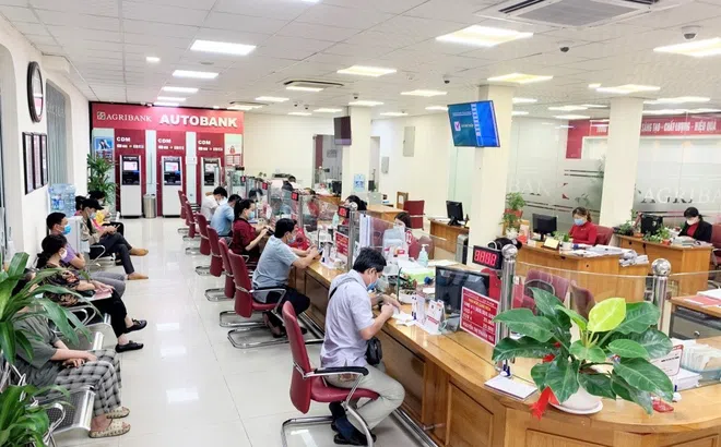 Agribank dành gói tín dụng ưu đãi 3.000 tỷ đồng cho lĩnh vực lâm, thủy sản