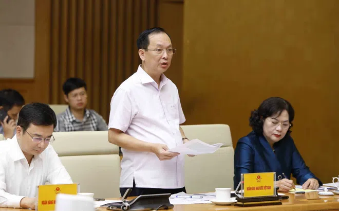 Phó Thống đốc Đào Minh Tú: Ngân hàng đang phải "chữa bệnh thừa tiền"