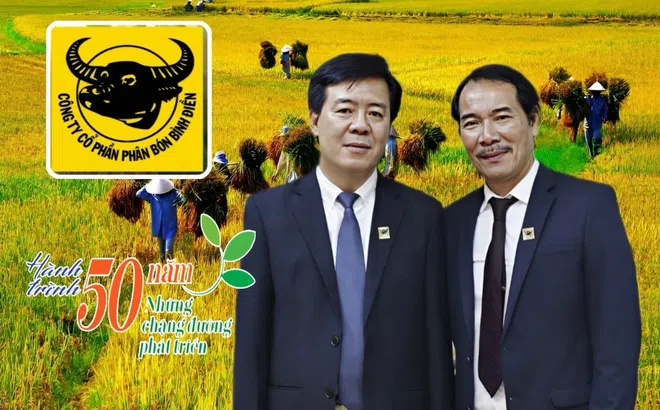 Phân bón Đầu Trâu nhờ đâu thành công rực rỡ?