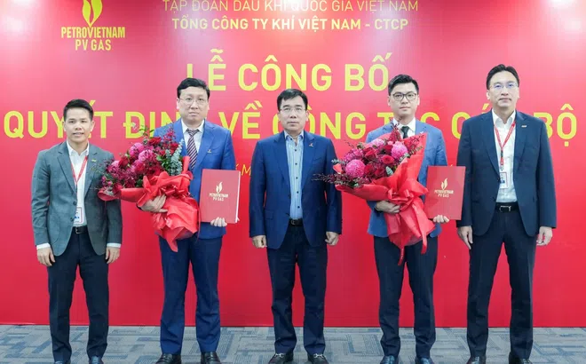 Tổng Công ty Khí Việt Nam có thêm hai Phó Tổng Giám đốc mới