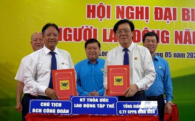 Công ty Phân bón Bình Điền không ngừng nâng cao phúc lợi cho người lao động