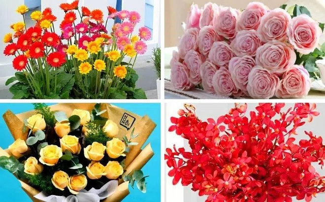 Nhiều cơ quan Nhà nước thông báo không tổ chức đón tiếp khách, không nhận hoa chúc mừng nhân Ngày Truyền thống