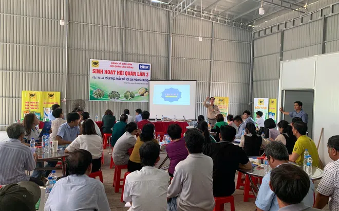 Bình Điền đồng hành cùng nông dân thông qua Hội quán Sầu riêng