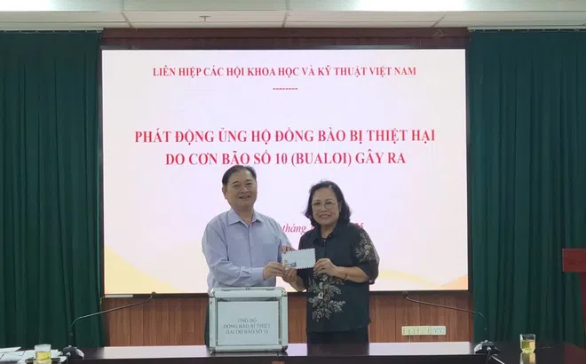 Đoàn Chủ tịch Liên hiệp Hội Việt Nam phát động ủng hộ đồng bào bị thiệt hại do bão số 10