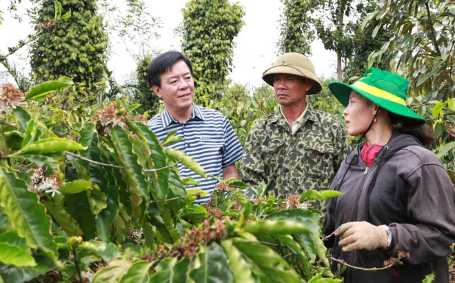 Ông Ngô Văn Đông - Tổng Giám đốc Công ty Cổ phần phân bón Bình Điền: Bản lĩnh “thuyền trưởng” và thương hiệu của niềm tin