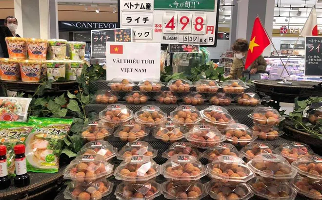 [Photo] Quy trình giám sát khử khuẩn cho vải thiều xuất khẩu sang Nhật Bản