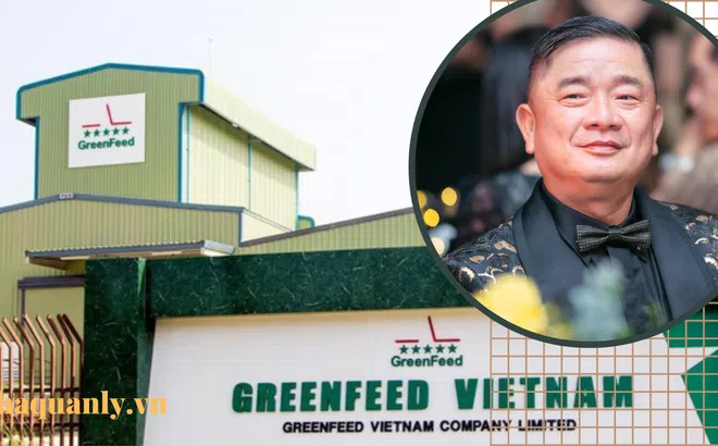 GreenFeed - doanh nghiệp vừa được IFC rót vốn 43 triệu USD là ai?
