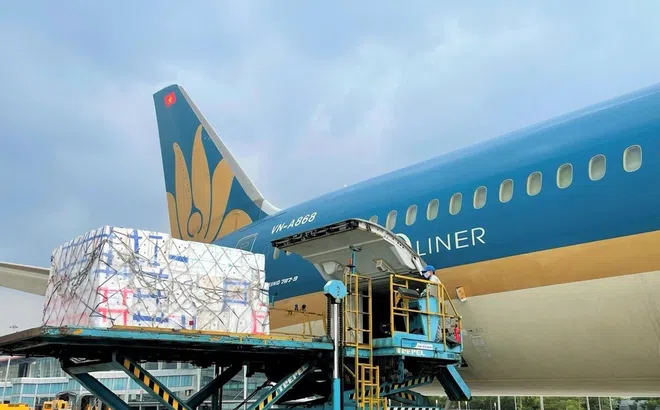 Vietnam Airlines tính lập hãng máy bay chở hàng, IPP Air Cargo của tỷ phú Johnathan Hạnh Nguyễn sẽ ‘hết cửa’ được cấp phép?