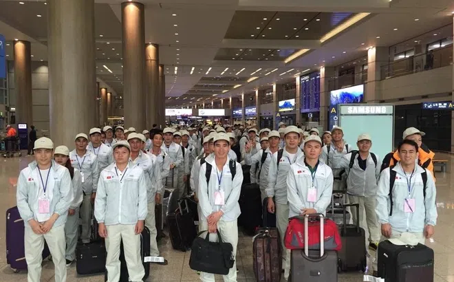 Năm 2023 Việt Nam lập kỷ lục về xuất khẩu lao động