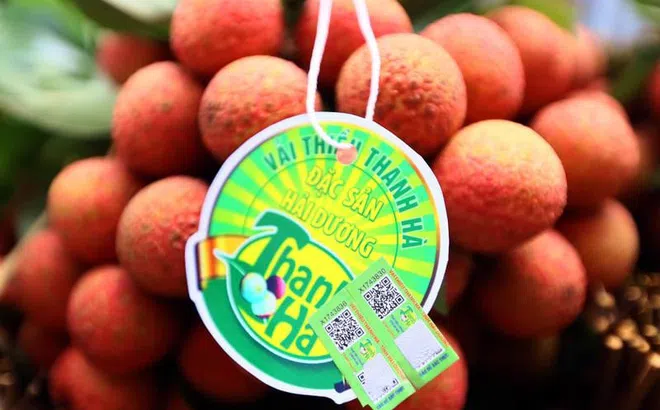 Nhờ một cái tem, nông sản Việt ở tầm vóc khác