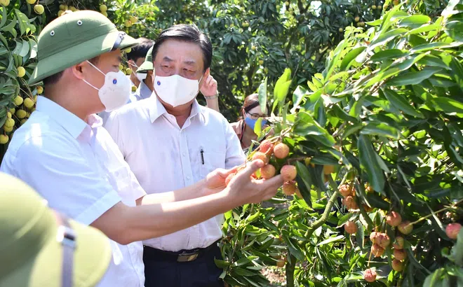 Bộ trưởng Nông nghiệp và Phát triển nông thôn Lê Minh Hoan tiếp tục gửi tâm thư đến các nhà khoa học